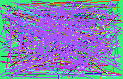 people search email lookup