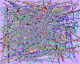 search for people